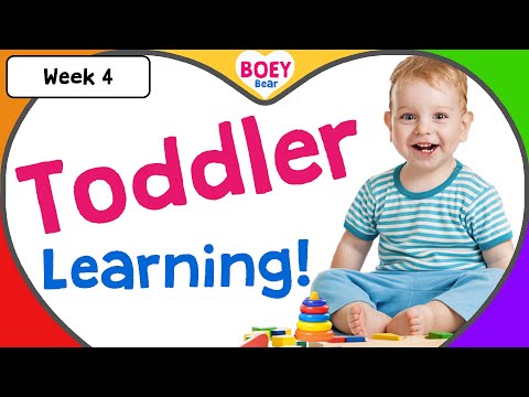 Educational Videos for Toddlers | 2 year old, 3 year old, 4 year old Learning Videos with Boey Bear
