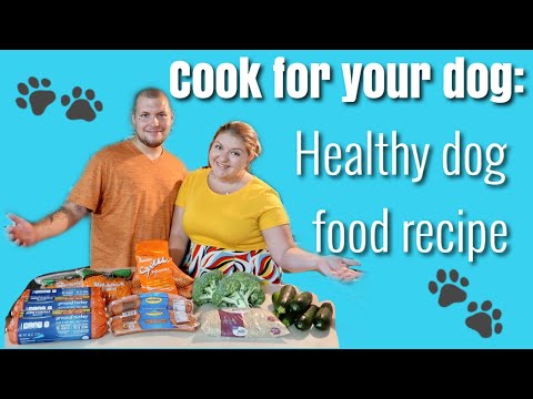 Healthy dog food recipe