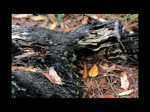 170515 Kuringai Chase   West Head