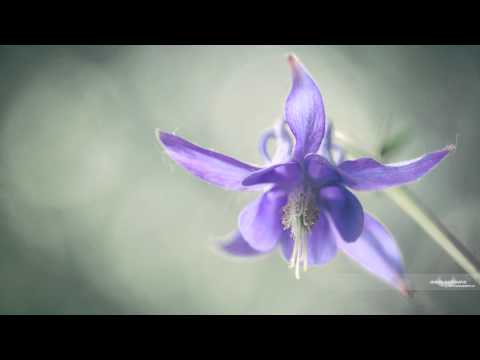 Ali Payami - Cillan (Original Mix)