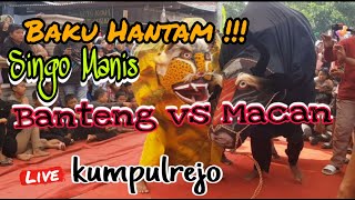 Download lagu Banteng vs Macan Baku Hantam ‼ SINGO MANIS Live kumpulrejo #trending #viral #barongan #singobarong mp3