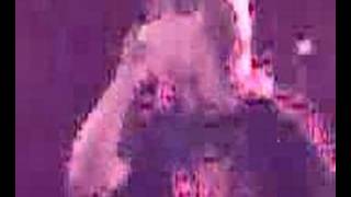 Ian Brown - Corpses in their mouth