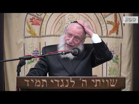 Bringing Korbanos Nowadays | Shiur by Harav Asher Weiss (2025)