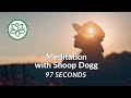 Snoop Dogg Meditation - 97 seconds of affirmations & manifestations (real voice, not AI generated)