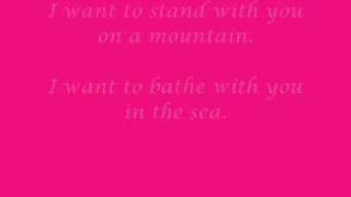 Savage Garden - I want to stand with you on a mountain + Lyrics (Truly Madly Deeply)