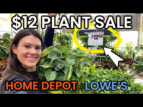 HUGE HANGING BASKET SALE $12 AT HOME DEPOT! Big Box Plant Shopping - Lowe's Finds & Home Depot Finds