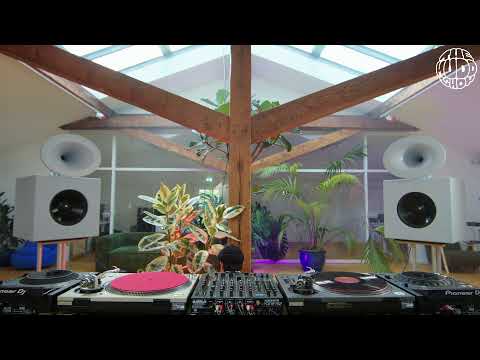 Yuzo Iwata | themuddshow