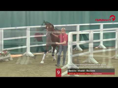 09 Hengst v. Benicio - Vivaldi - Riccione