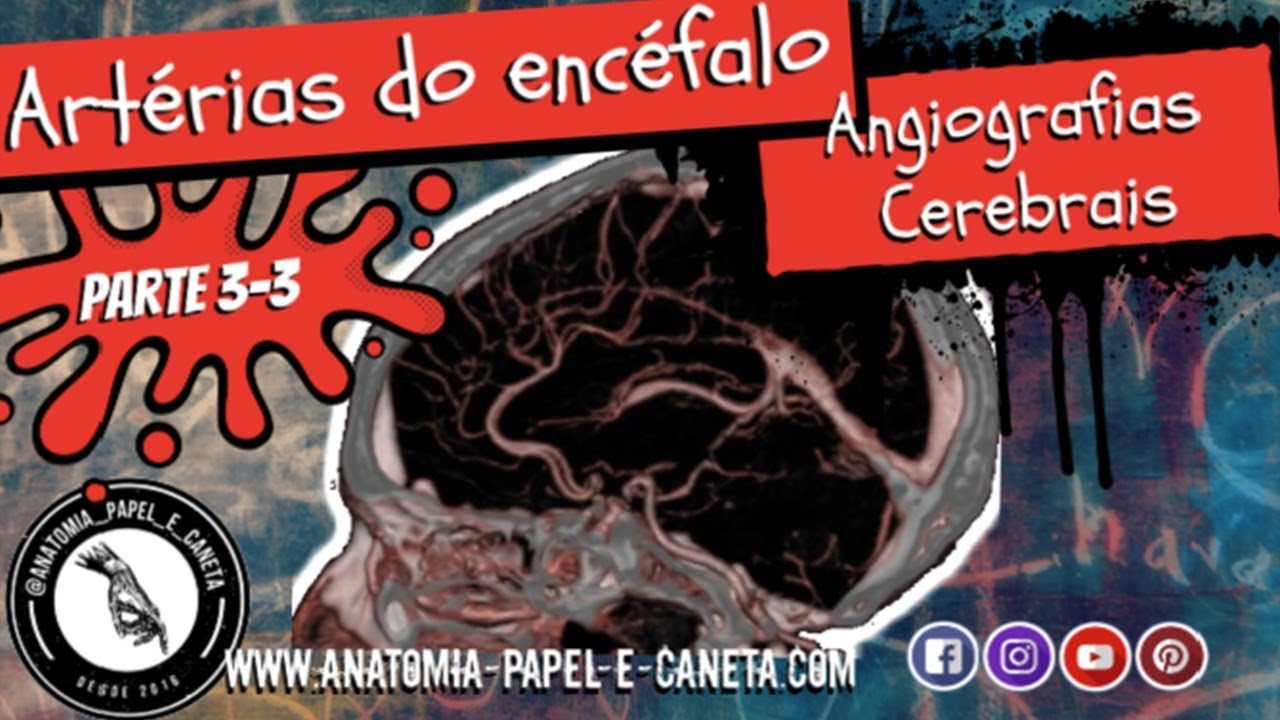 Artérias do encéfalo (Parte 3/3) - ANGIOGRAFIA CEREBRAL - ARTÉRIOGRAFIAS