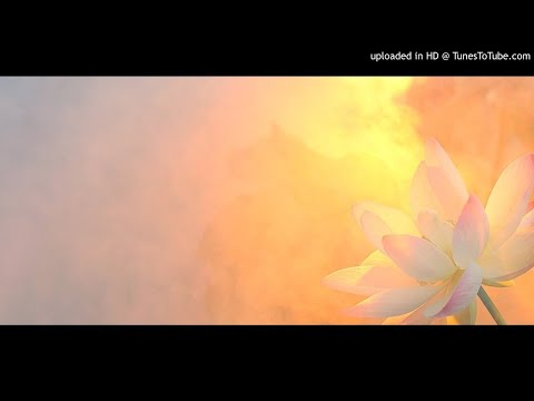 Milość uzdrawia wszystko