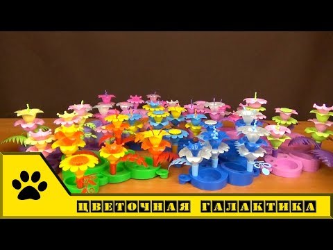 Видео обзор