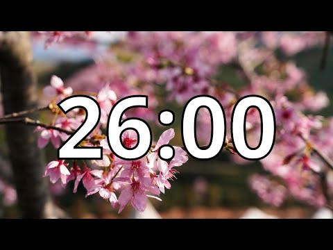26 Minutes Timer with Music | Cherry Blossom Timer