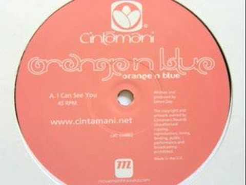 Orange n Blue - Tidal Movement - Drum & Bass - Cintamani Records