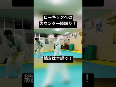 ローキックに膝蹴りカウンター！ #格闘技