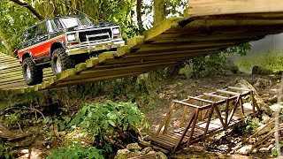 Traxxas TRX-4 Ford Bronco 1979 1:10 RTR Sunset