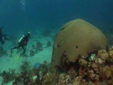 Tobago, Tobago,Trinidad und Tobago