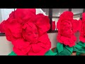 Tutorial Alice In Wonderland Red Potted Flower