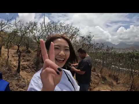 児童教育学科 20220623【国際観光ビジネス学科】HIBISCUS program ハワイ(留学)海外研修プログラム