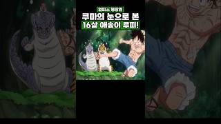 원피스) 쿠마의 눈으로 본 16살 애송이 루피! #원피스 #onepiece