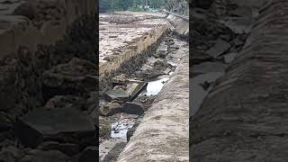 Download lagu tanggul jebol‼️ #beach #playa #summer #pinggiran #pantaiindonesia mp3 Download lagu tanggul jebol‼️ #beach #playa #summer #pinggiran #pantaiindonesia mp3