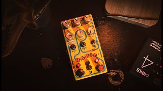 Video thumbnail for Chase Bliss Habit - Short & Sweet Sounds by The Pedal Zone