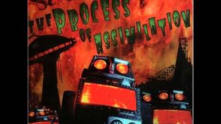 Screaming Monkey Boner - b00t