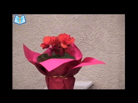 Jan 27 2019 PM Mihai Cabau - Caut pe fratii mei (Geneza 37:12-16)