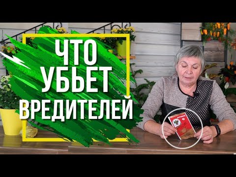 Фитоверм Инструкция Применения  ✔️ Как избавится От Насекомых Вредителей