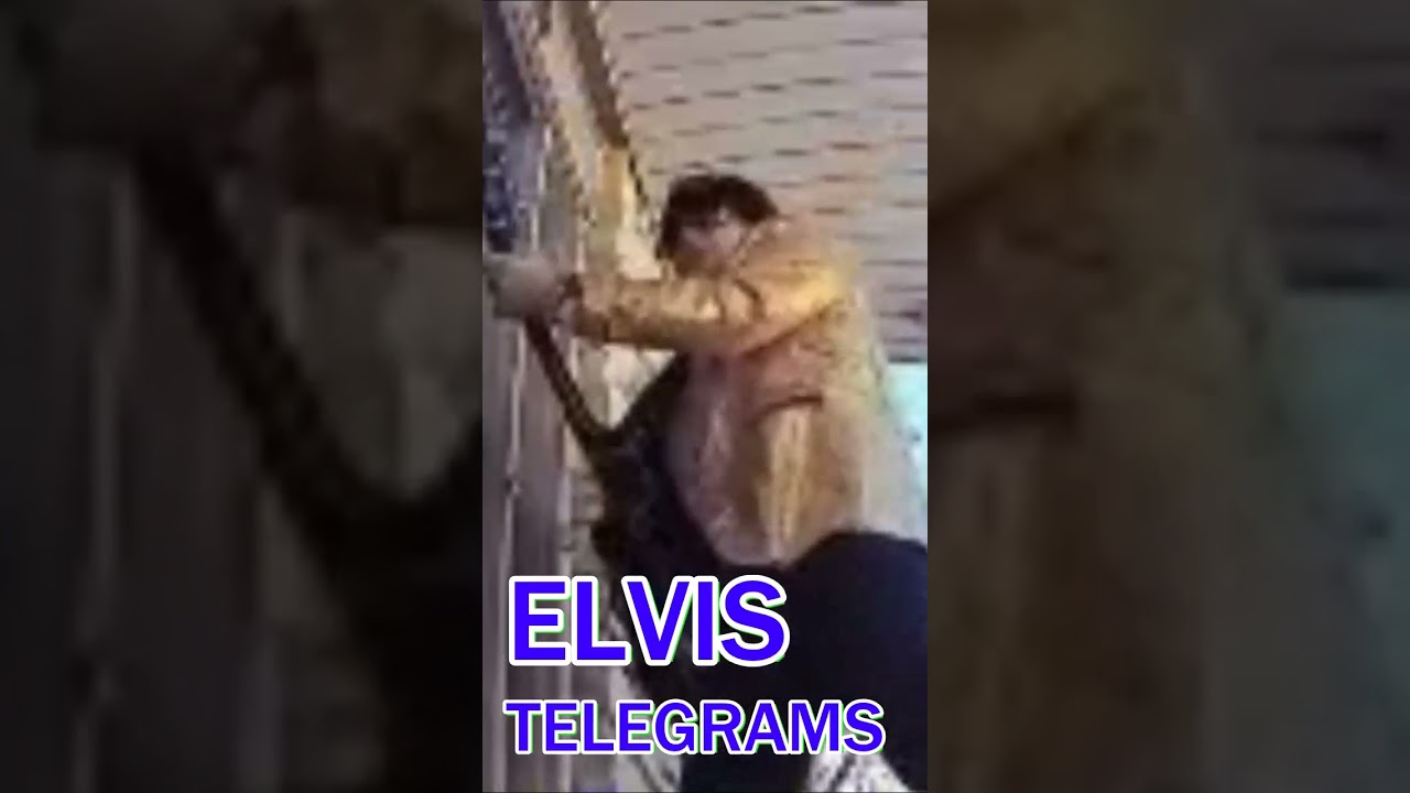 Promotional video thumbnail 1 for Tribute Legends Live — Elvis, Sinatra, Neil Diamond, Pitbull & Country