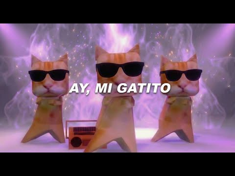 Ay mi Gatito Miau Miau | Official video Remix