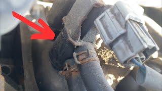 Vapor Canister Purge Solenoid Nissan Juke 1.6L 2010-2019 Location and Replacement