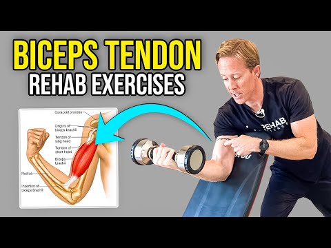 Isometric Bicep Hold demonstration thumbnail