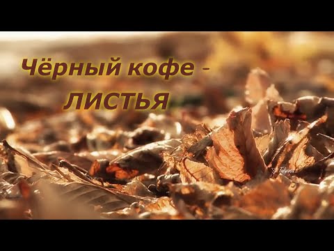 Чёрный кофе  -   Листья