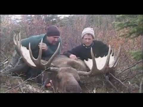 Yukon Alaska Moose Hunt - Cody Fleming