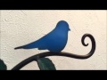 Carino Movie