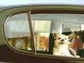 Spot Toyota Yaris 1999