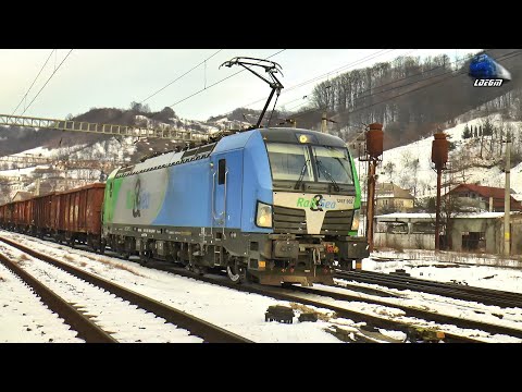 Trenuri în Gara Ilva Mică & Feldru 🚊❄🚊 Trains in Ilva Mică Station & Feldru - 15 January 2025