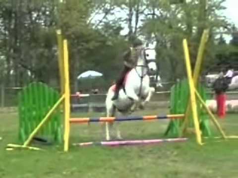 Elvándorló 2010 10 03