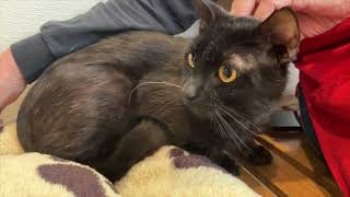 Salem