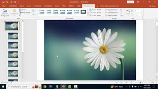 How to add image in footer in PowerPoint