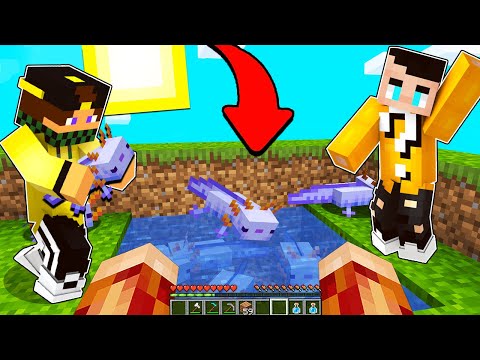 NUOVA FARM AXOLOTL RARI NELLA BIG VANILLA SU MINECRAFT!!