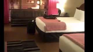 preview picture of video 'The Flamingo Las Vegas Fab Deluxe Room'