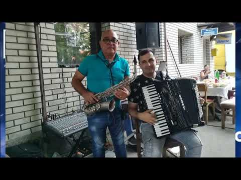 Živa Dinulović - Vlaška kola uživo