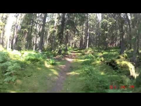 Dalenrundan 2014 - 6 km (Löparperspektiv, kort)