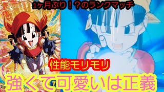 性能100点演出100点可愛さ10000点のパンちゃんを使って1ヶ月ぶり！？ランクマッチ！！