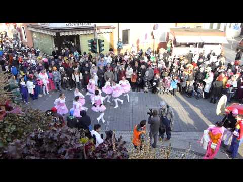 41. Lindwurm durch Ober-Ingelheim 10.02.2013