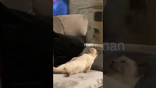 Today Kicked My A$$ ?️? Funny Talking Animal in Tik Tok KLR Dubs #Shorts #TalkingAnimals