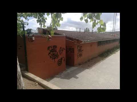 Pintadas i Gafits en Begues