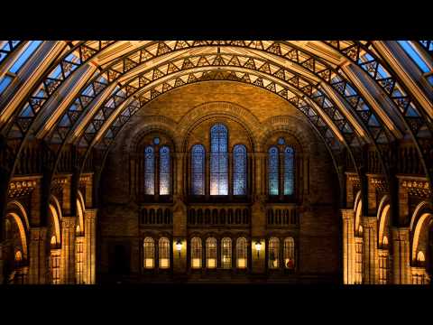 Annix - Unnatural Element (Vip)