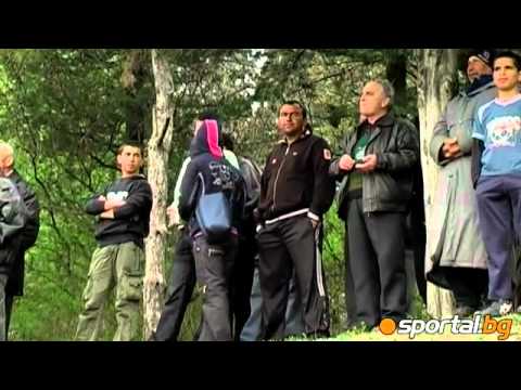 Beroe Ultras in Action